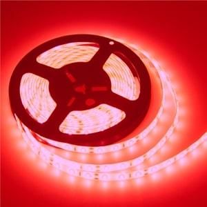 4040 Şerit Led Kırmızı (5 METRE)