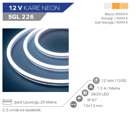 12X12 KARE NEON LED GÜNIŞIĞI