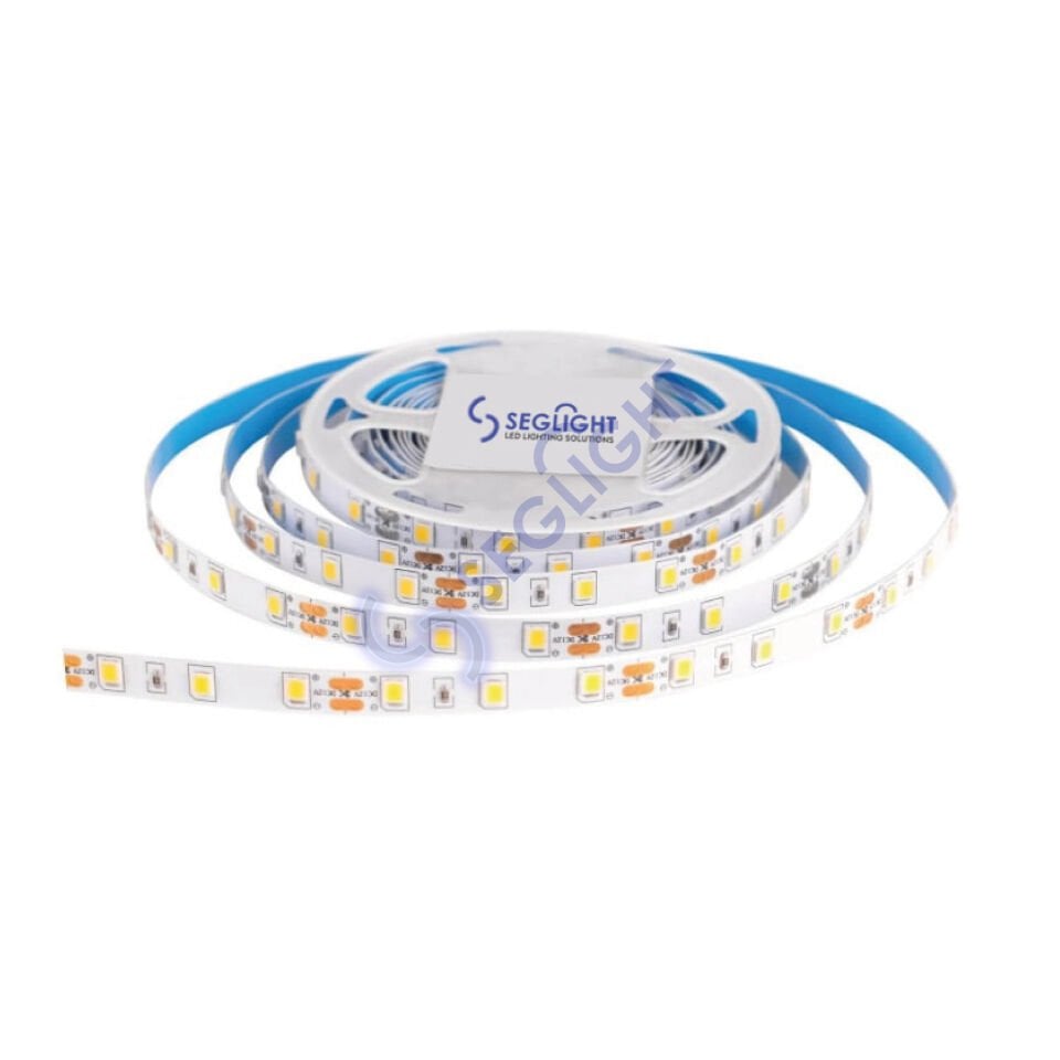 12V PRO Seri Şerit Led 5Metre (Metrede 60 çipli 4040SMD LED)